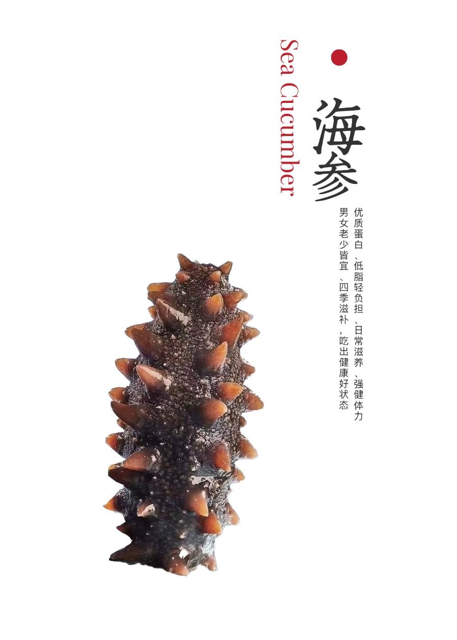 海参系列
